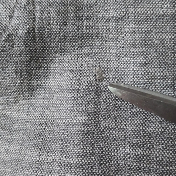 Disney World Minnie Mouse Rain Jacket Gray Glittery Logo Size Medium - Picture 15 of 15